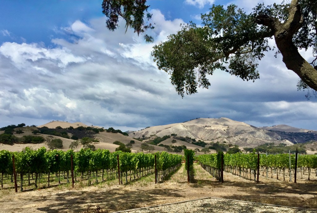 Wine regions of the Central Coast of&nbsp;California